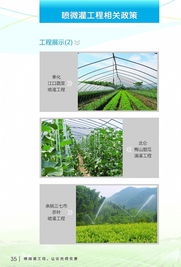 科技节水，智慧灌溉——宁波市水利局喷微灌技术推广应用宣传册