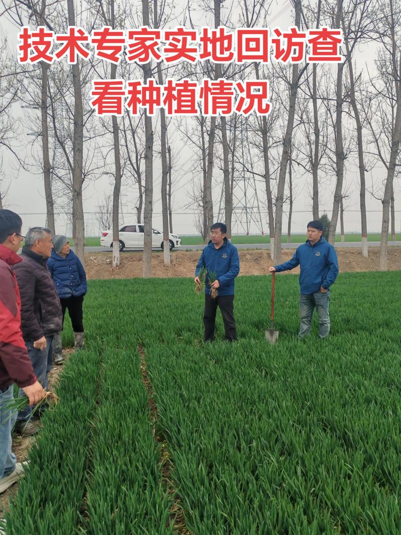 厂家技术专家实地回访 让农业技术落地生根