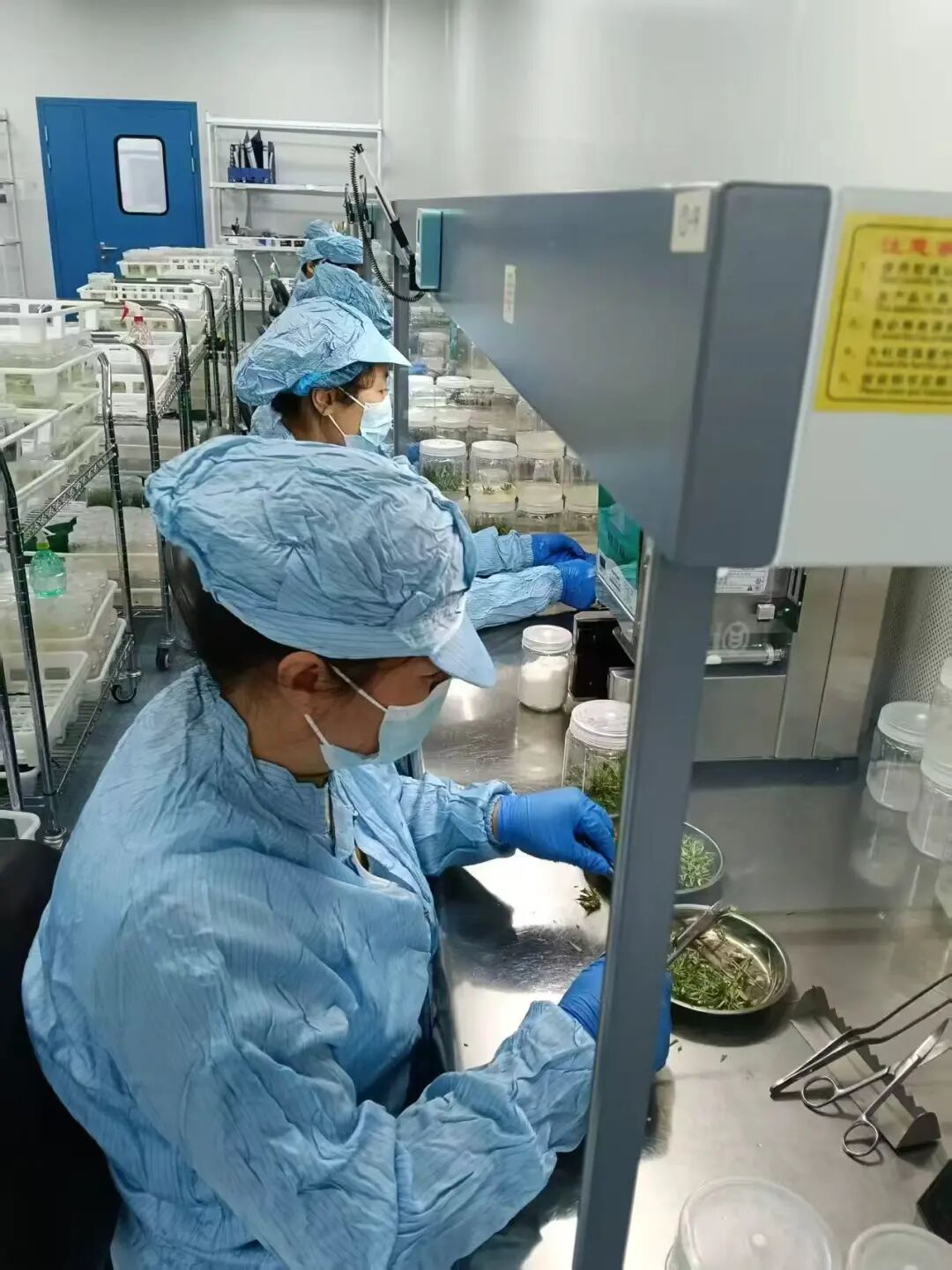 深耕盐碱地 打造特色产业高质量发展新引擎——黄河三角洲农业高新技术产业示范区推动盐碱地特色产业发展综述